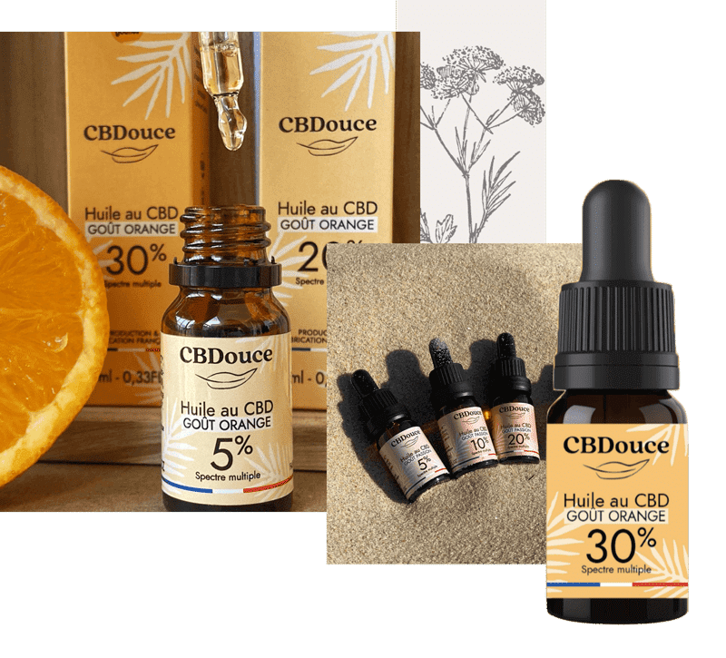 gout-orange-huile-cbd (1)