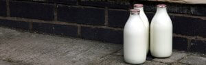 Le lait de chanvre, la nouvelle alternative de lait végétal