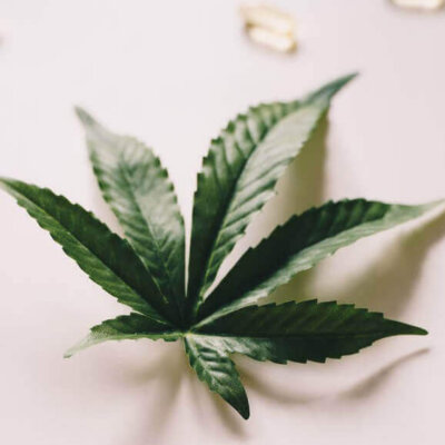 Meilleurs CBD en France: Sélection Expert 2025